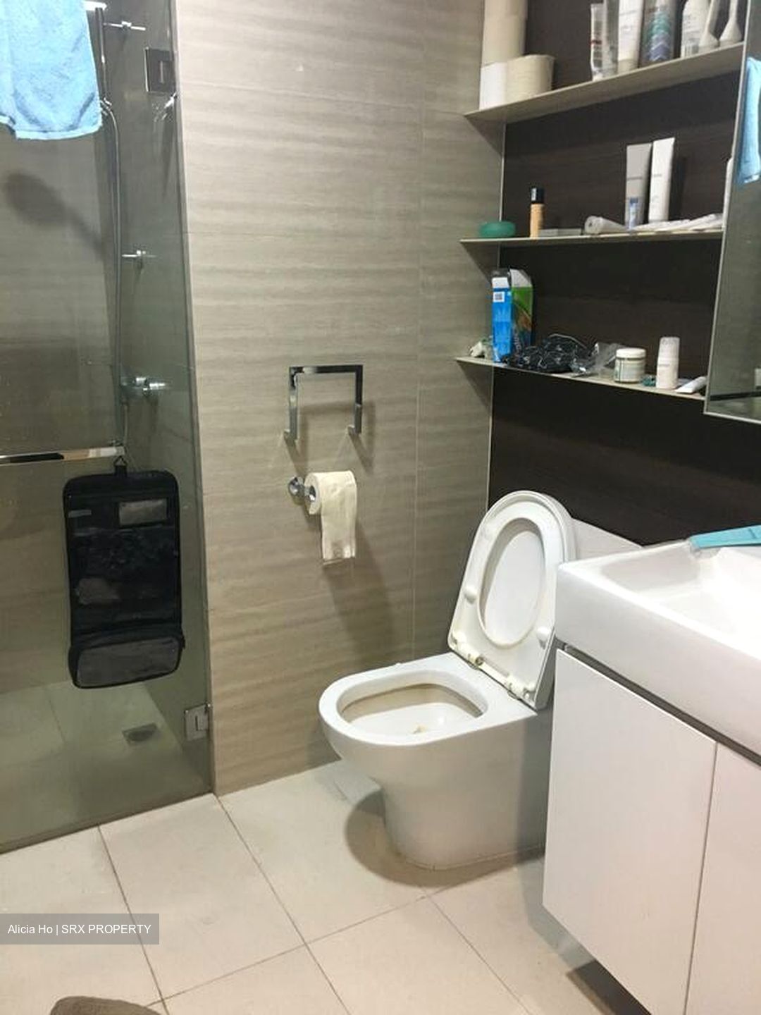 Cardiff Residence (D19), Condominium #578583601